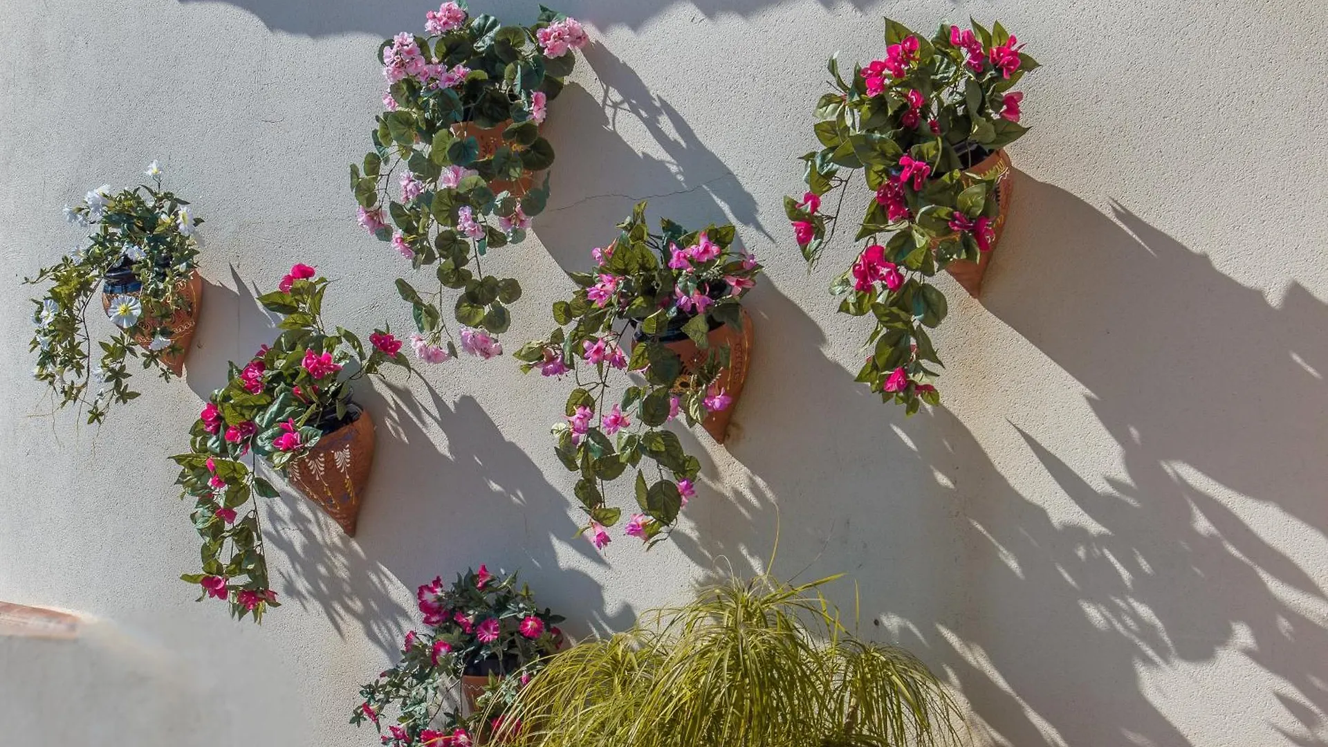 أريناس B&B El Pajarero 0*,  إسبانيا